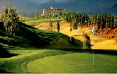 Golf Packages